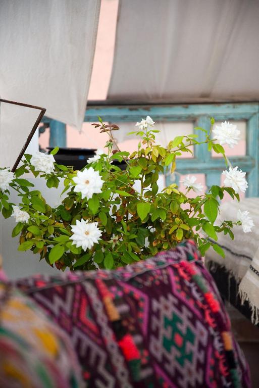 Riad Le J Marakéš Exteriér fotografie